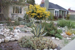 Many Californians who ripped up their lawns used their rebates to cover the xeriscaping. Photo: Steve & Michelle Gerdes/Flickr