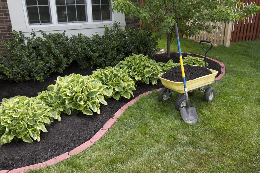 Using mulch properly isnt rocket science, but does require care