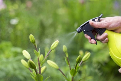 If Maryland’s bill passes, homeowners will no longer be able to purchase and apply neonicotinoid pesticides.