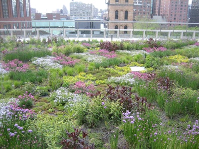 This 3,700 square foot green roof was added in 2011. Photo: George Reis