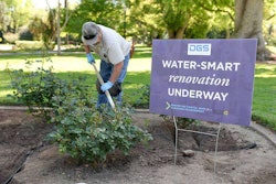 A Department of General Services Capitol Park groundskeeper adds drip irrigation to a park rose bed. Photo: California Department of General Service