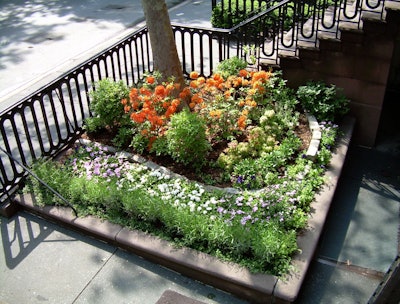Even small unobtrusive planters like these are part of NYU’s green spaces. Photo: George Reis