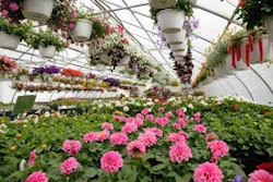 According to Senior Vice President of AmericanHort Craig Regelbrugge, “virtually every nursery and greenhouse operation that hires labor beyond the family, and uses pesticides in the production of plants, will be affected.”