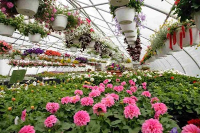 According to Senior Vice President of AmericanHort Craig Regelbrugge, “virtually every nursery and greenhouse operation that hires labor beyond the family, and uses pesticides in the production of plants, will be affected.”