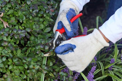 With nearly a million workers in the United States, the landscaping industry is pushing hard to put the brakes on new federal overtime regulations. Photo: NALP/Philippe Nobile Photography