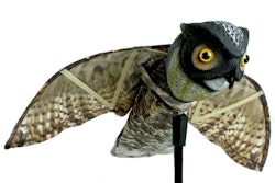 Visual scares such as this replica of a prowler owl, the most feared of aerial predators, can keep birds and small pests away.