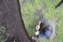 hispanic-landscaper-tim-evanson