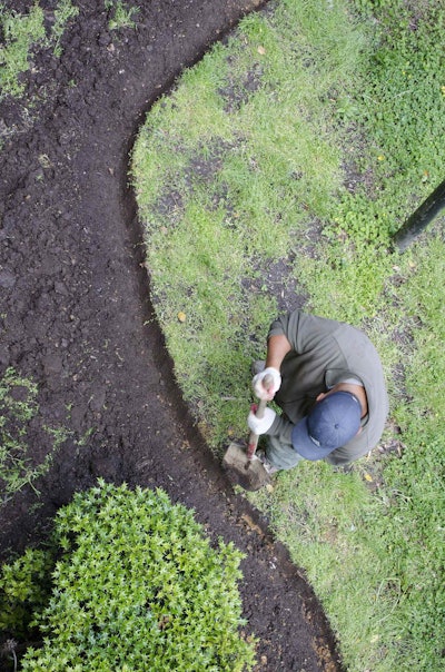 Hernandez worked at Earth Care from 2010 to 2014 digging and planting for the company’s clients every day. Photo: Tim Evanson/Flickr