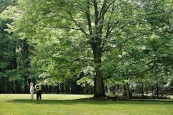 A Davey Tree Expert Co. arborist talks with a property owner about keeping her trees healthy. Photo: Davey Tree Expert Co.