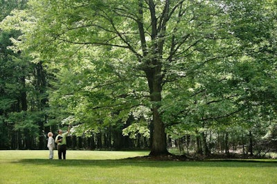 A Davey Tree Expert Co. arborist talks with a property owner about keeping her trees healthy. Photo: Davey Tree Expert Co.