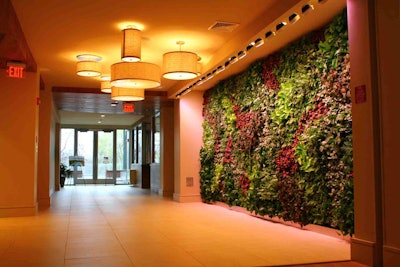 This living wall, designed and created by Boston’s Cityscapes Inc., is in the lobby of Fuse Cambridge, an apartment building. Photo: Cityscapes Boston