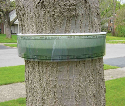 BugBarrier-tree-band