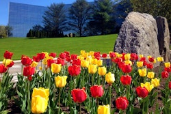 Eastern Landscape Management services commercial properties in the southern Connecticut and New York metropolitan area. Photo: ELM