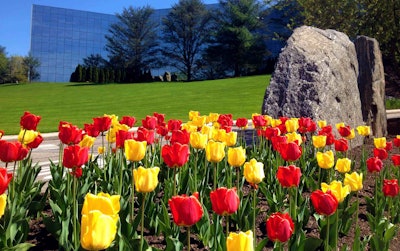Eastern Landscape Management services commercial properties in the southern Connecticut and New York metropolitan area. Photo: ELM