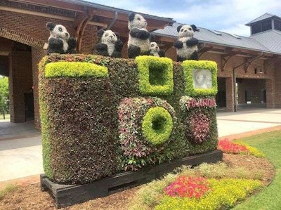 Fujifilm’s sponsored topiary is a camera, of course. Photo: South Carolina Festival of Flowers