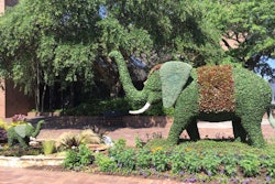 One of this year’s topiaries features two water-spewing elephants, Milak and Horton. Photo: South Carolina Festival of Flowers