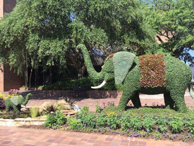 One of this year’s topiaries features two water-spewing elephants, Milak and Horton. Photo: South Carolina Festival of Flowers