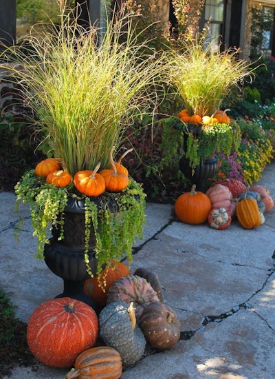 Seasonal planters can provide a steady revenue versus doing a one-time planting. Photo: Adorn