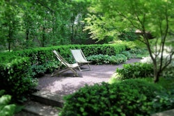 secluded-garden
