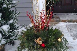 winter-container-the-contained-garden
