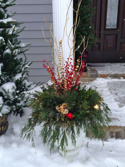 winter-container-the-contained-garden