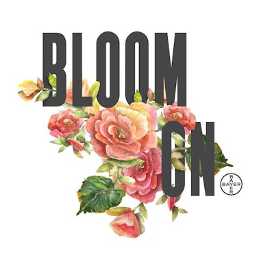 Bayer-Ornamental-Twitter