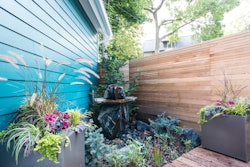 Garden-corner-Lotus-Gardenscapes