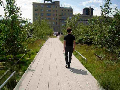 The plants that grow on the High Line were inspired by the landscape that appeared when the tracks became disused. Photo: Cristina Bejarano/Flickr