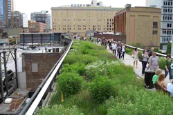 Highline-NYC-Jessica-Sheridan