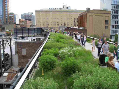 The High Line in New York City is an example of biophilic design. It is a repurposed train line that is now 1.45-mile long park full of grasses, shrubs and perennials. Photo: Jessica Sheridan/Flickr