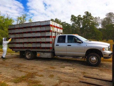 Before retiring this bee transport truck, it was decided to use it for the Keep the Hive Alive Tour. Photo: Keep the Hive Alive Tour