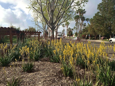 By replacing the irrigation and the turf with drought-tolerant plants, Heaviland estimates it will save 2.3 million gallons of water annually. Photo: Heaviland Landscape Management