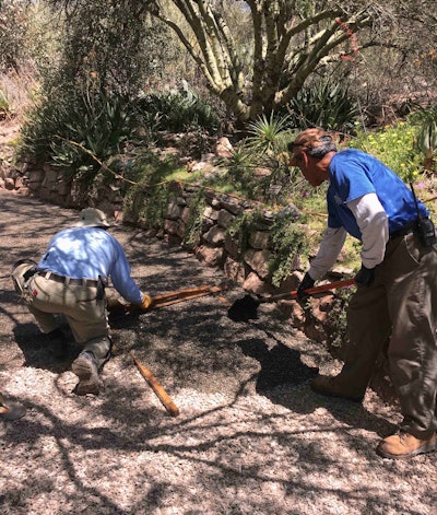 The pour-in-place permeable paving material was used to upgrade key sections of the arboretum’s nature trails. Photo: Porous Pave