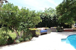 Landscapers can learn how to make elegant, edible landscapes after attending one of Agriscaping’s events. Photo: Agriscaping Technologies