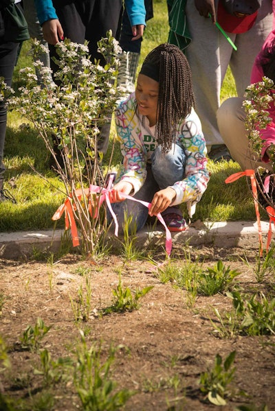 Eighth graders from Detroit Dixon Educational Learning Academy tie markers to the plants. Photo: University of Michigan School of Natural Resources and Environment/Flickr