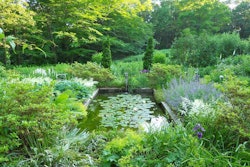 Grossman’s Blue and White Garden features a lily pond in the center. Photo: Andrew Grossman Landscape Design