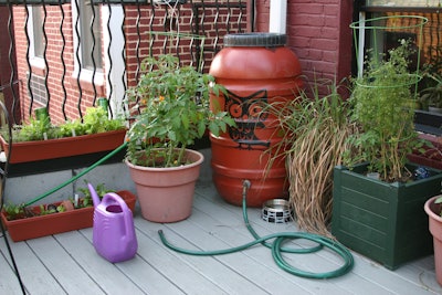 Homeowners are now permitted to use rain barrels in Colorado. Photo: barb howe/Flickr
