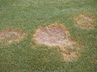 Photo: North Carolina State University