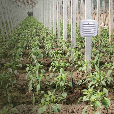 My AcuRite is compatible with a variety of environmental sensors, including water leak detectors, liquid temperature sensors and soil temperature sensors. Photo: AcuRite