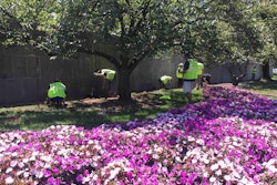 Volunteers tamp down the soil after laying irrigation pipe during the National Association of Landscape Professionals’ annual Renewal and Remembrance day of service at Arlington National Cemetery. Photo: Jill Odom
