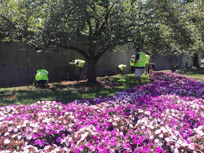 Volunteers tamp down the soil after laying irrigation pipe during the National Association of Landscape Professionals’ annual Renewal and Remembrance day of service at Arlington National Cemetery. Photo: Jill Odom