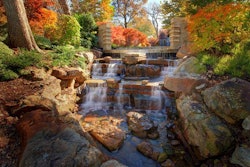 RVi’s work includes the Nancy Rutchik Red Maple Rill Garden at the Dallas Arboretum. Photo: RVi
