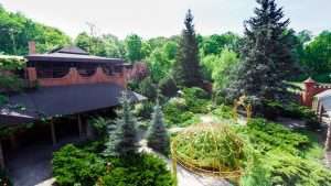 Mix of evergreen and deciduous trees. Photo: Milkos/iStock via realtor.com