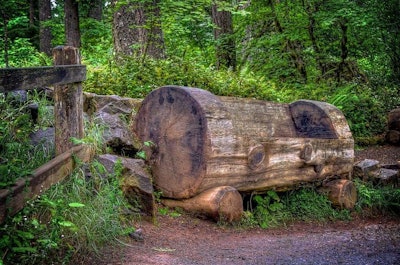 This bench carved from a fallen tree fit right in with its surroundings and provides and earthy vibe. Photo: PhotoAtelier/Flickr