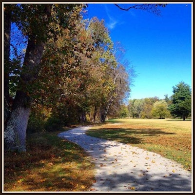 The 66-acre Park at Flat Rock is still under development, following a plan developed by landscape architect Ed Lastein, who died unexpectedly on July 21. Formerly a golf course, almost two-thirds of the park is in a flood plain. Today, the acreage is home to a wide variety of plants and animals, in keeping with Lastein’s vision. Photo: Village of Flat Rock, North Carolina