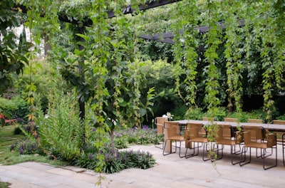 vine-curtain-houzz