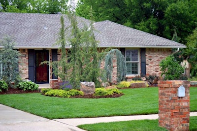 What started as a tree removal turned into a complete landscape overhaul.