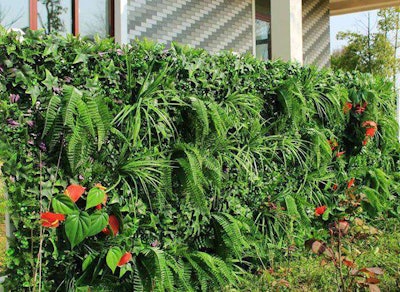 artificial-hedges-hedged-in