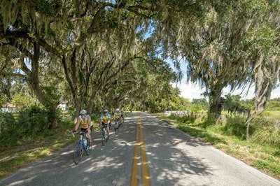 The STIHL Tour des Trees has raised nearly $3 million for tree research and education. Photo: STIHL