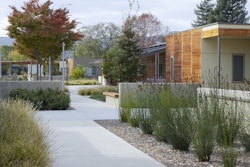 Sweetwater Spectrum in Sonoma, California uses plant material to provide year-round interest and drought-tolerance. Photo: Marion Brenner